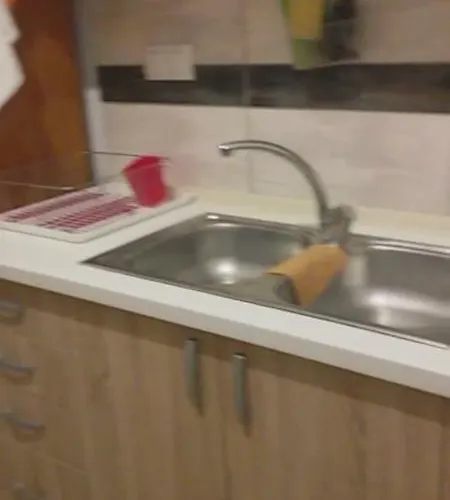 30 Amynta * 卡泰里尼